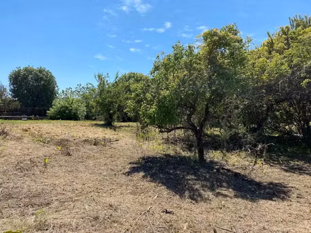 vente terrain à batir 500 m² à cannes la bocca (06150)  245 000 €