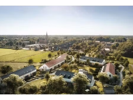 zuiderkroon