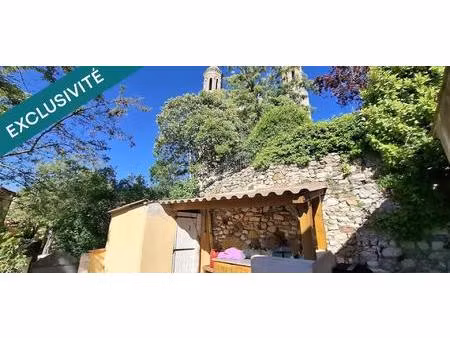 maison de maison de village avec terrasse et cuisine d'été  idéalement située au cœur du c
