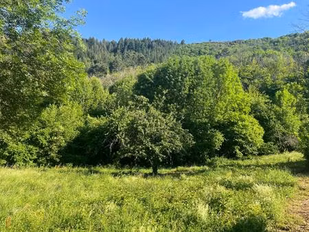 terrain constructible vallée borgne