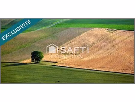 terrain agricole