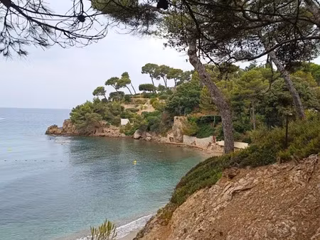 location appartement 3 pièces 70 m² à le pradet (83220)  960 €