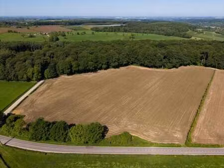magnifique terrain plat dans les fourons !
