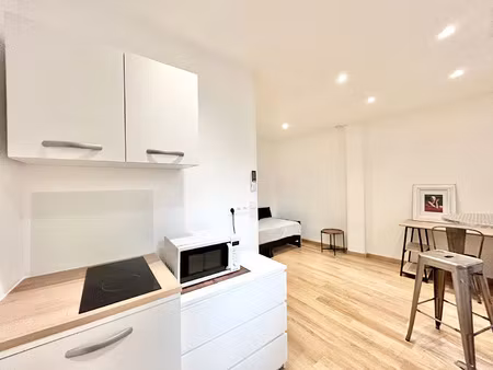 location appartement 1 pièce 16 m² à lyon 7 (69007)