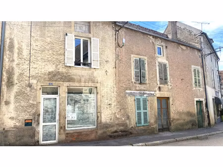 local professionnel à vendre l'isle sur serein 5 pièce(s) 85m2 76 900€
