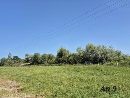 terrain agricole
