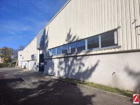 immobilier professionnel à louer saint-fargeau-ponthierry