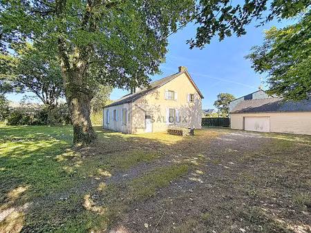 vente maison peaule - centre bourg