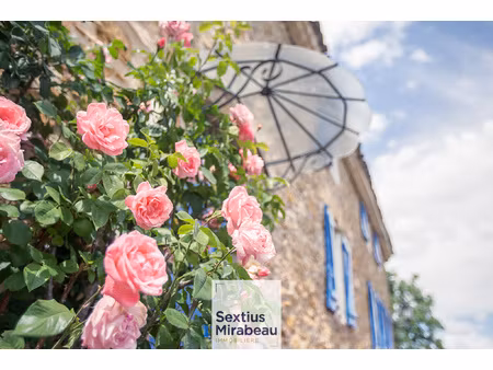 authentique maison de village avec jardin  terrasse et cache