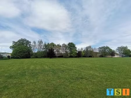 terrain