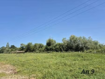 vente terrain à beauvoir-sur-mer (85230) : à vendre / beauvoir-sur-mer