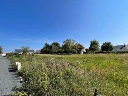 vente terrain à belligné (44370) : à vendre / belligné