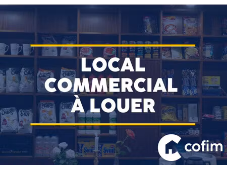 immobilier professionnel à louer pau
