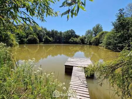 vente terrain à la boissière-des-landes (85430) : à vendre / 9331m² la boissière-des-lande