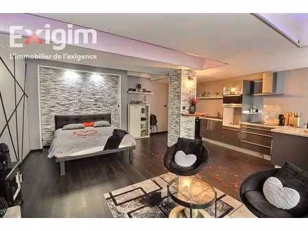 bien d'exception avec 2 logements indépendants - tournon centre