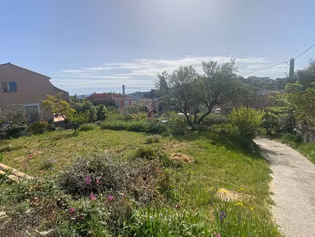 terrain