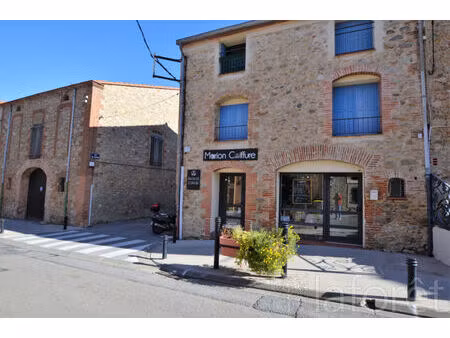 appartement argeles sur mer 3 pièce(s) 44m2