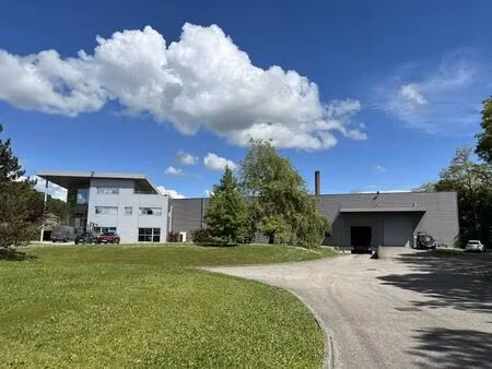 vente entrepôt saint clair de la tour 38110 5046m²