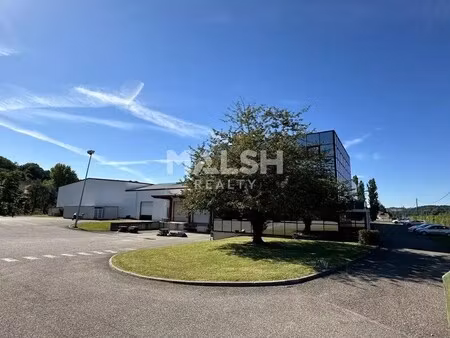 location local d’activités nivolas vermelle 38300 11934m²