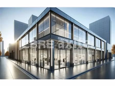 vente commerce seynod 511 m²