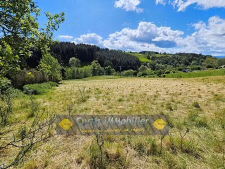 achat terrain st just malmont 43240