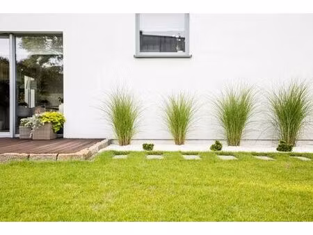 maison de luxe de 100 m2 en vente saint-maurice  île-de-france