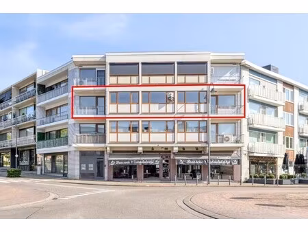 hoogstraat 2 bus 8  3690 zutendaal