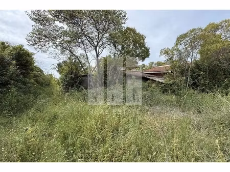 annonce terrain à vendre