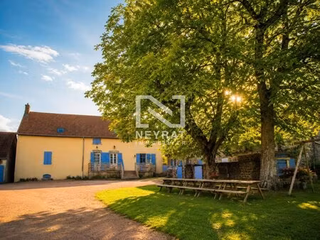 achat maison 12 pièces 200m² st bonnet de vieille vigne 71430