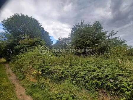 foret de 7 000 m² à saint-augustin