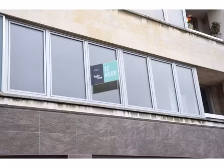 lichtrijk en modern gerenoveerd appartement
