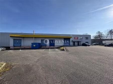 vente entrepôt geispolsheim 67118 5220m²