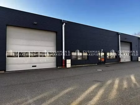 vente local d’activités bischheim 67800 966m²