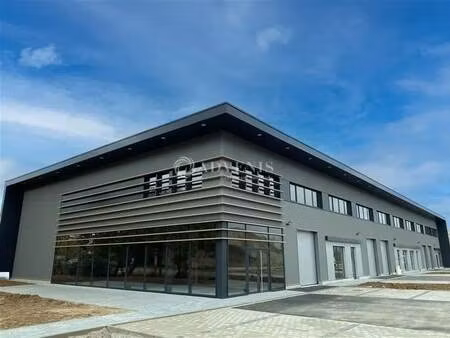 vente local d’activités geispolsheim 67118 374m²