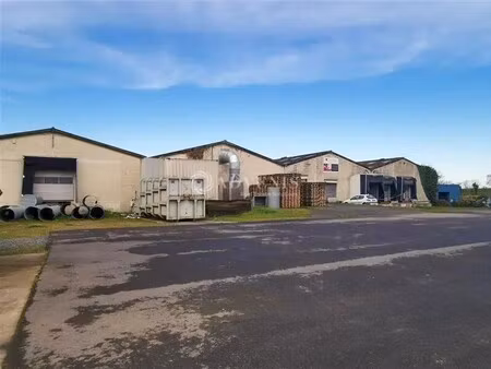 vente local d’activités la guerche de bretagne 35130 10000m²