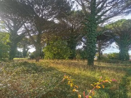 vente terrain 1090 m² saint-maixant (33490)