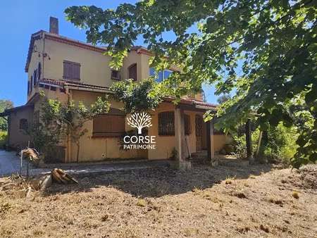 vente maison 9 pièces 315 m² à penta-di-casinca (20213)  385 000 €
