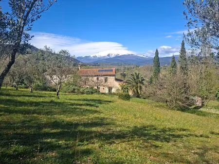 magnifique mas avec gite et terrain
