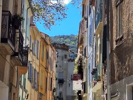 grande maison de ville + t3 - garage - ceret