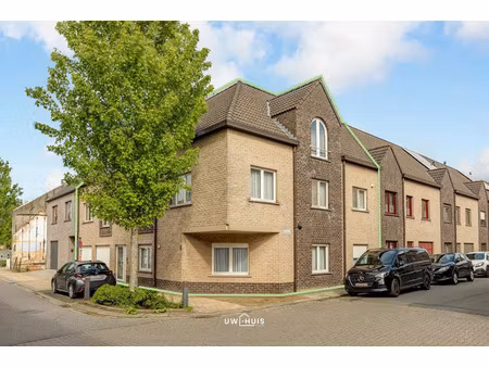 appartement te koop in hamme met 6 slaapkamers
