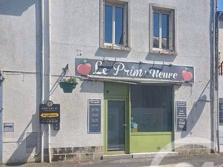 vente appartement 6 pièces et plus à riaillé (44440) : à vendre 6 pièces et plus / 152m² r