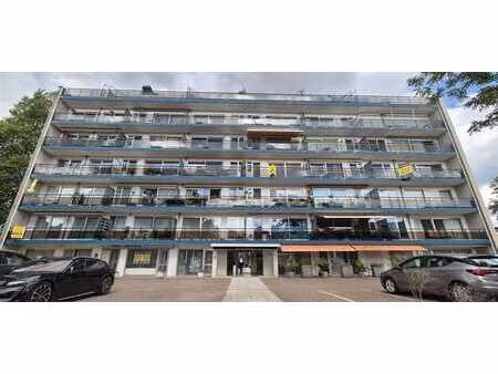 appartement 2 ch 86m² - electricité conforme - très lumineux