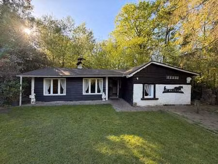 zeer mooi gelegen vijver met chalet