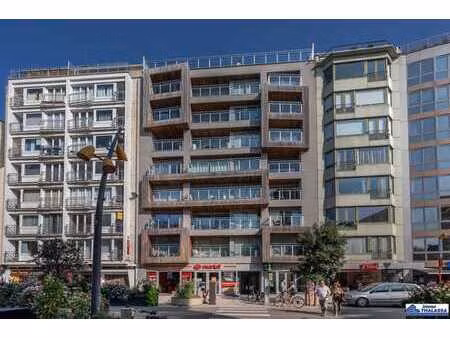 appartement ensoleillé au centre de la panne