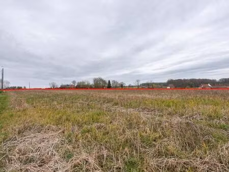 terrain à vendre à meilegem € 104.000 (loo0s) - de smet & willems | zimmo