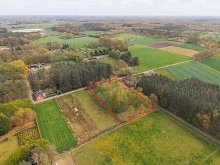 terrain à vendre à herenthout € 44.500 (loo2n) - homixx vastgoed haacht | zimmo