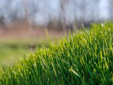 vente terrain à héric (44810) : à vendre / héric
