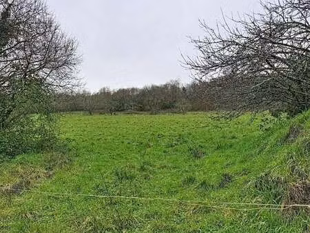 vente terrain à saint-herblain (44800) : à vendre / 340m² saint-herblain