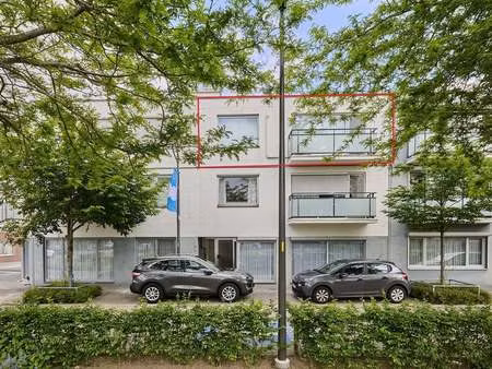 appartement à vendre à kaulille (lonek) - vastgoed c - hechtel verkoop | zimmo