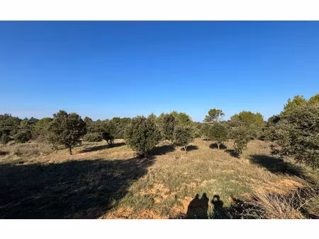 terrain cabrières m² t- à vendre  6 500 €